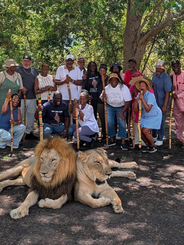 Group with lions